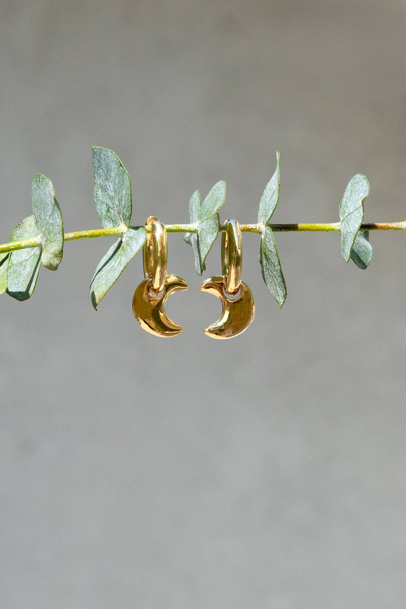 Luna Hoops - 18K Gold Plated or Stainless Steel