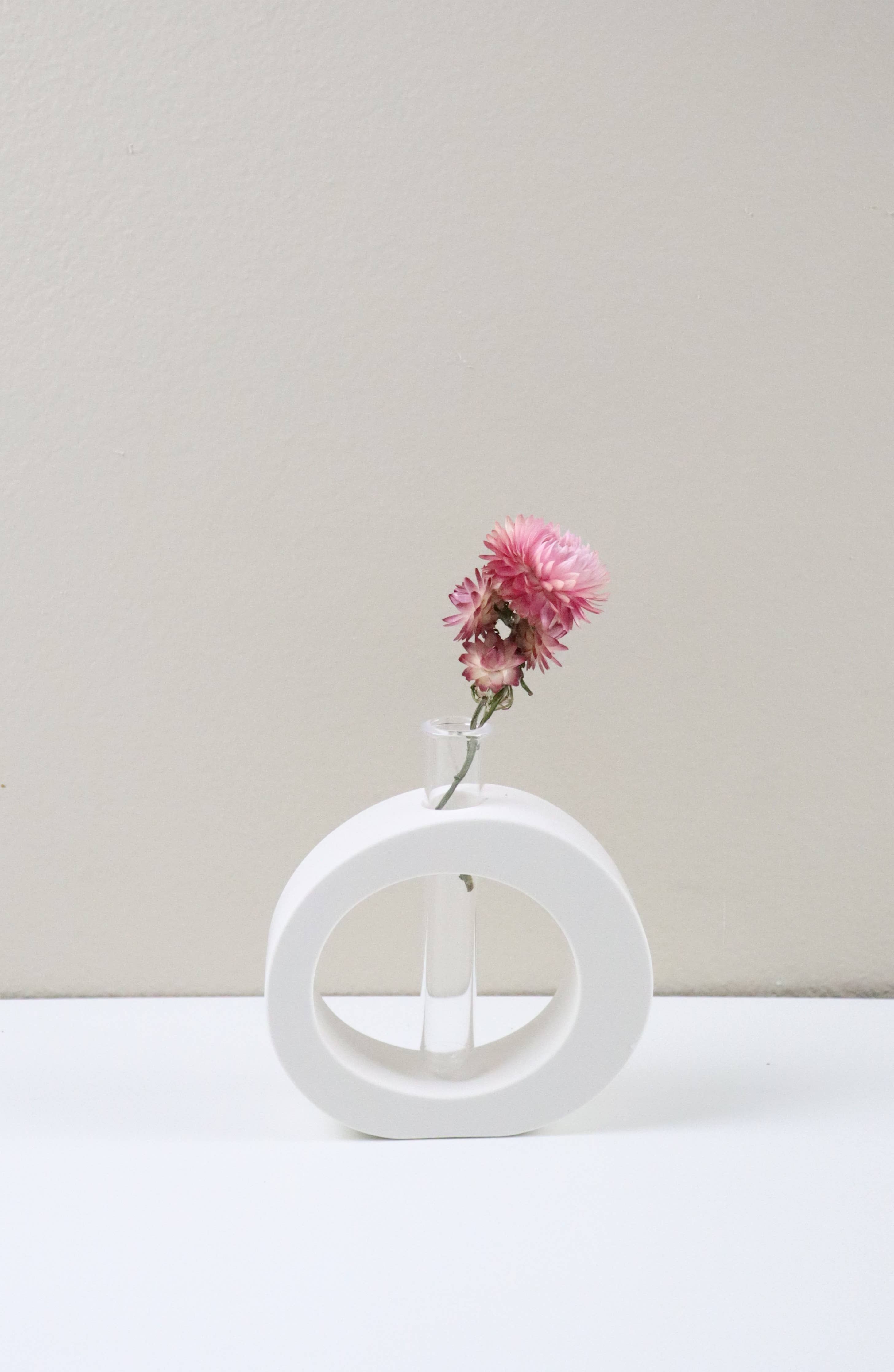 Hydroponic Flower Vase | Propagation Station