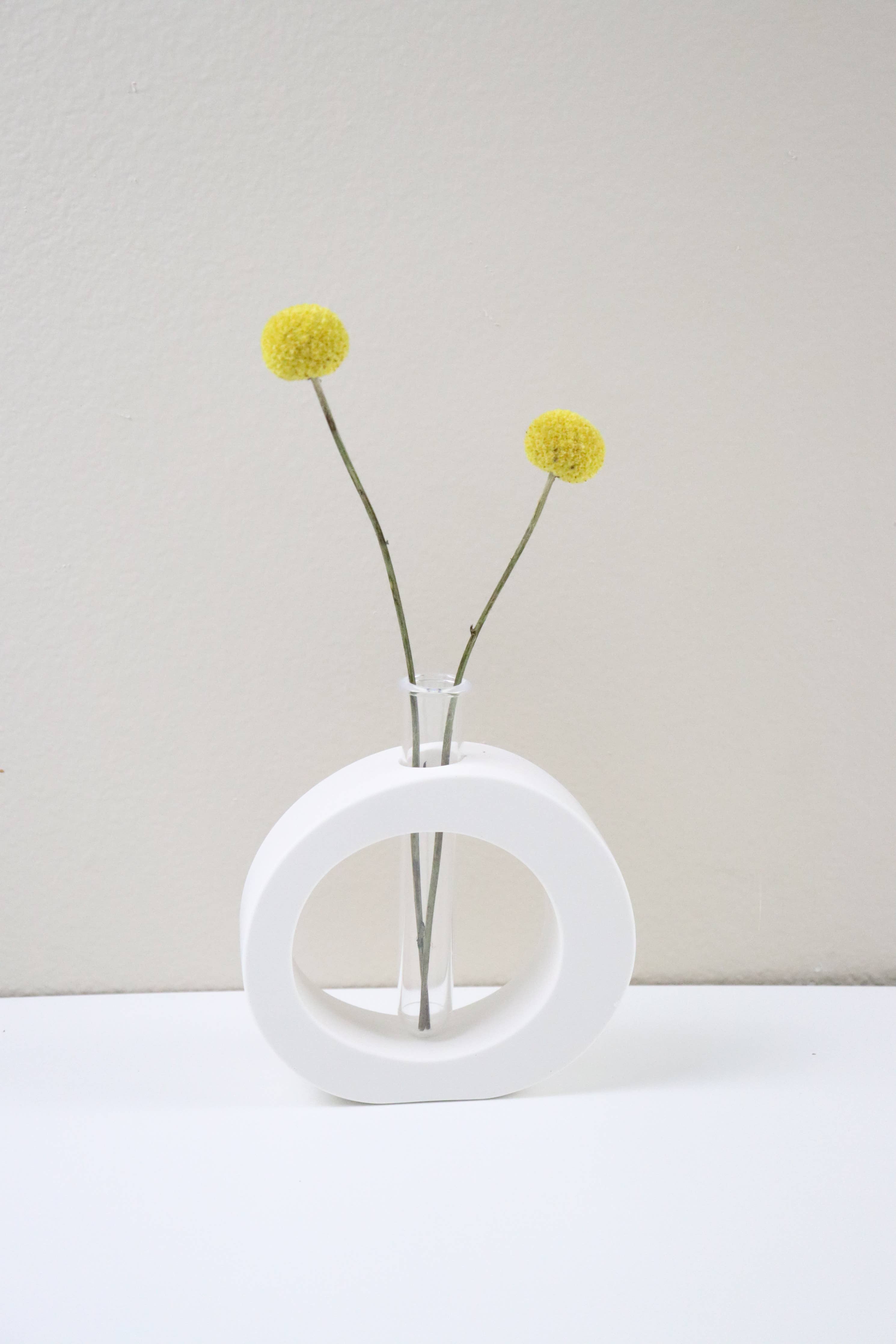 Hydroponic Flower Vase | Propagation Station - Downerss