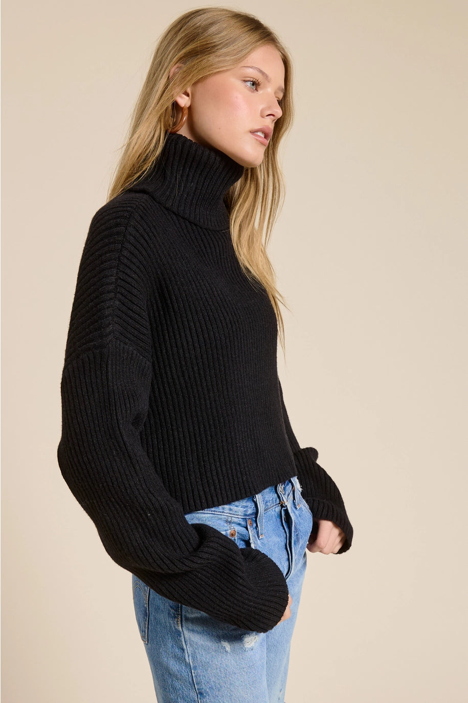 Cropped Ribbed Turtleneck Sweater - Black