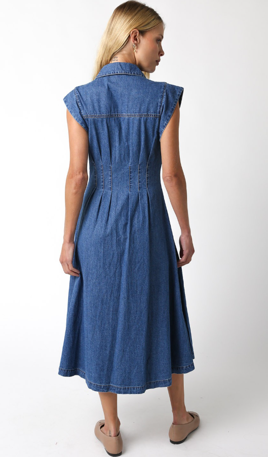 Blair Denim Dress
