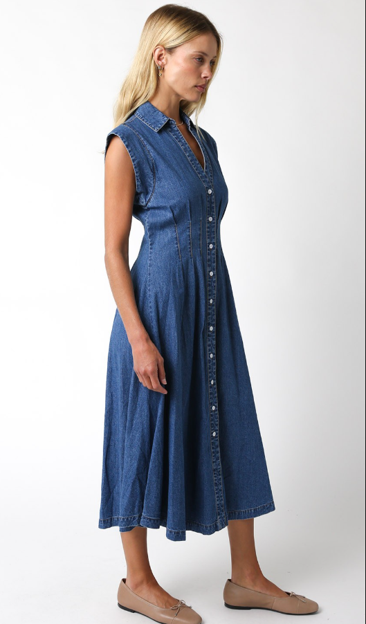 Blair Denim Dress