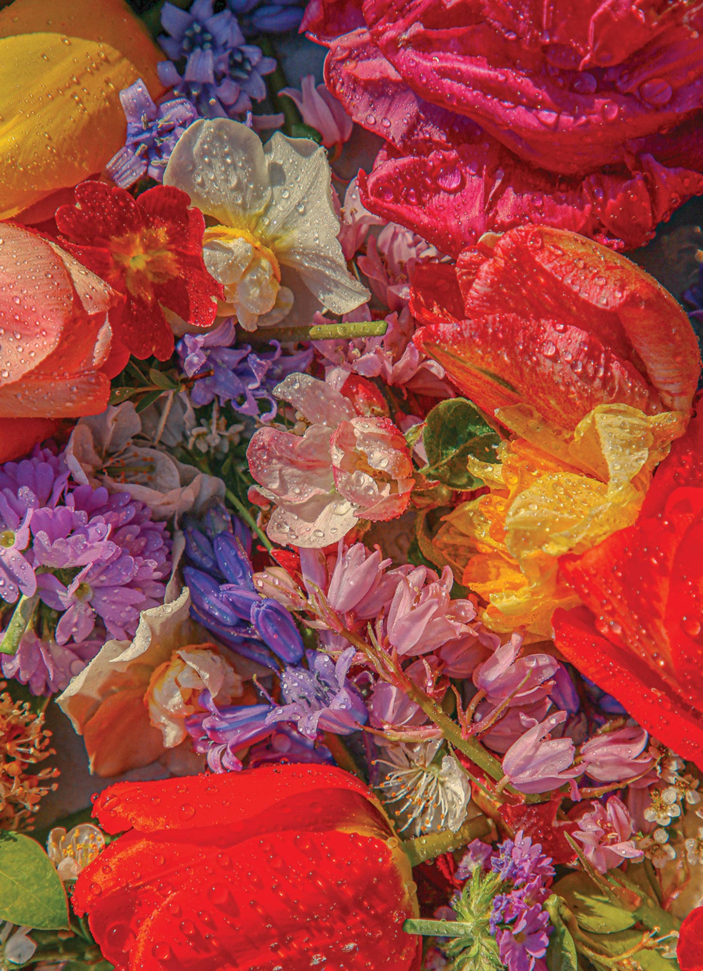 Blossom - 1000 Piece Puzzle