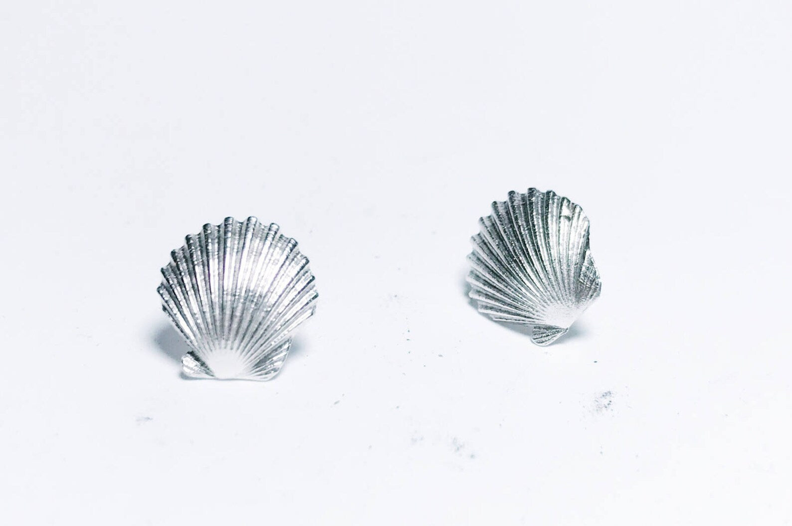 Sea Shell Stud Earrings - Silver