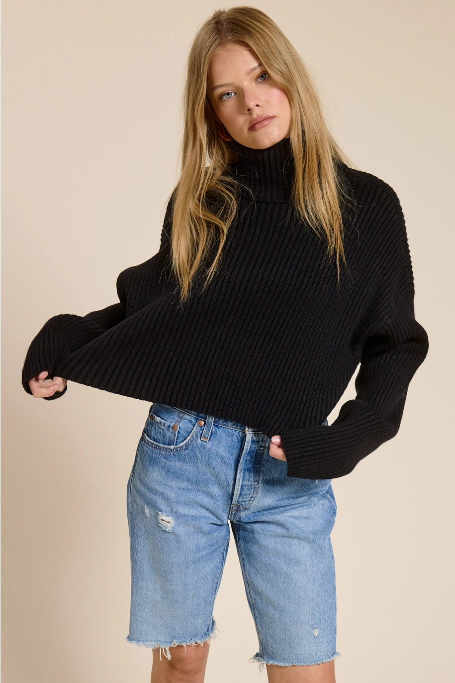Cropped Ribbed Turtleneck Sweater - Black