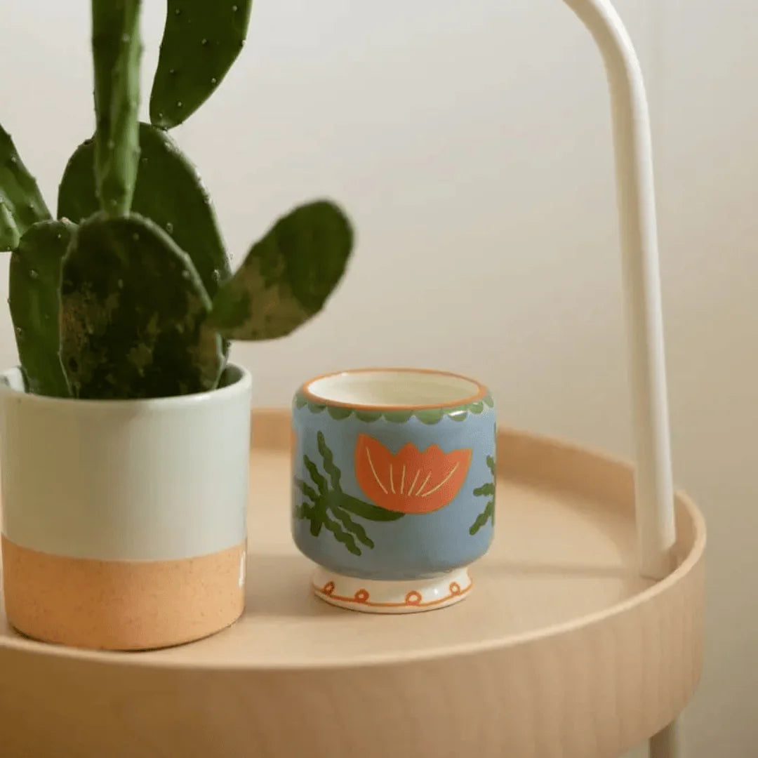 Dopo - Cactus Flower