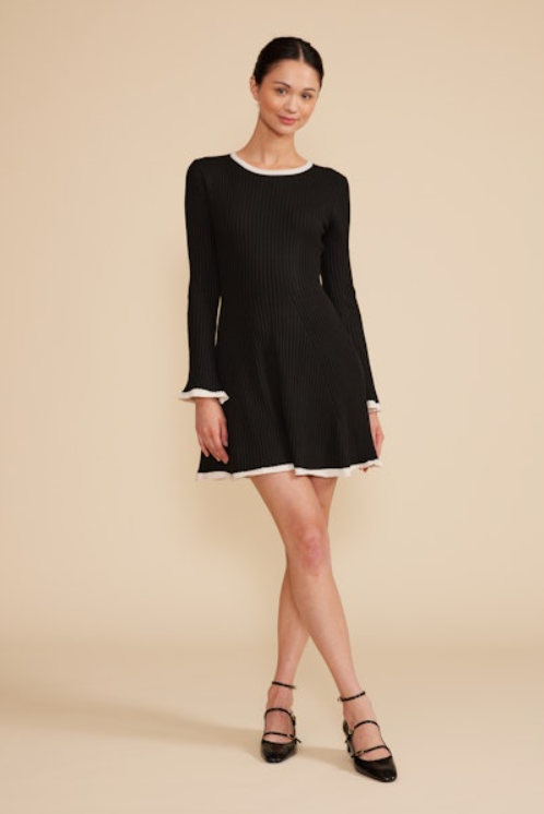 Rianne Long Sleeve Mini Dress