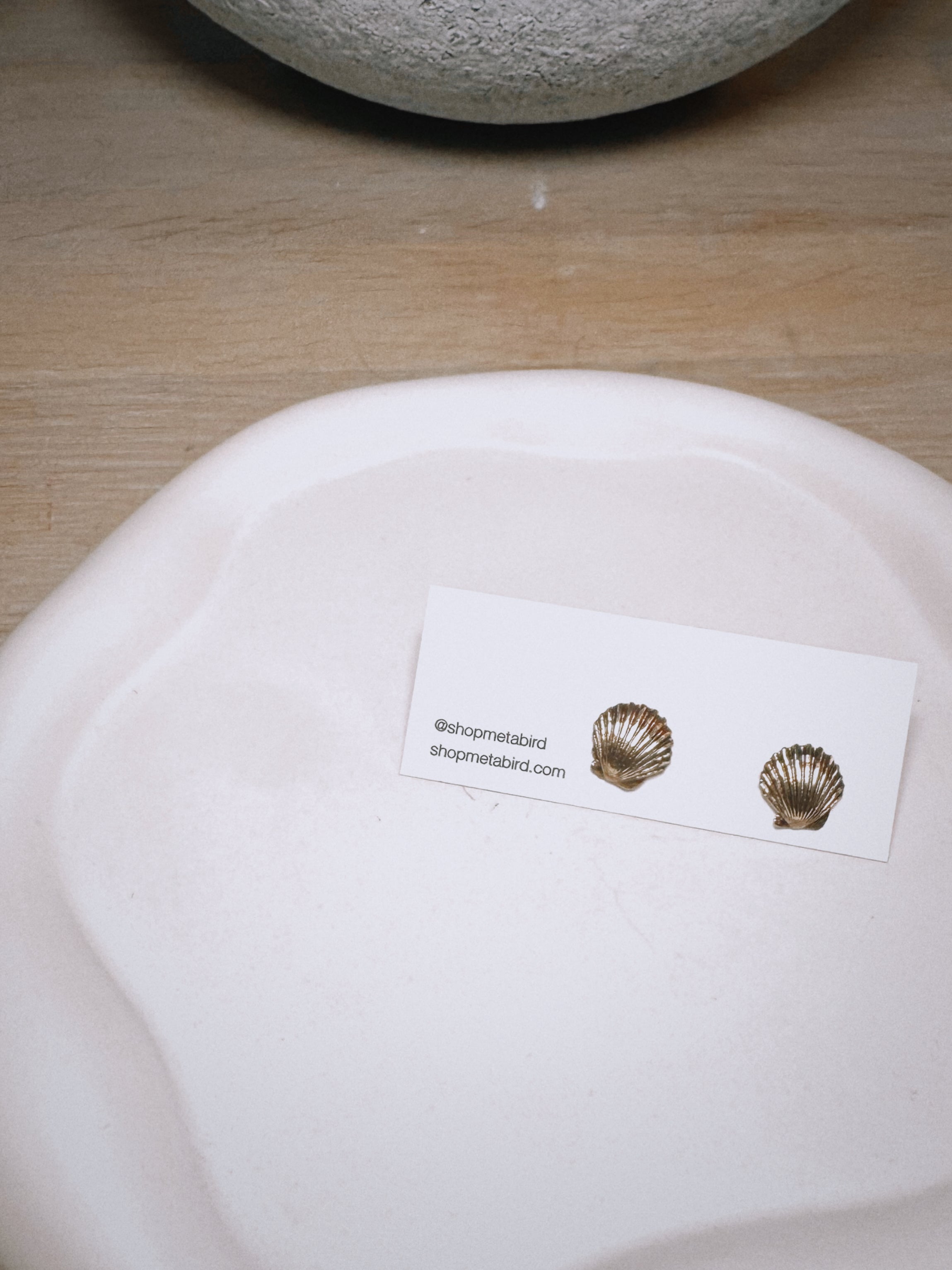 Sea Shell Stud Earrings - Gold