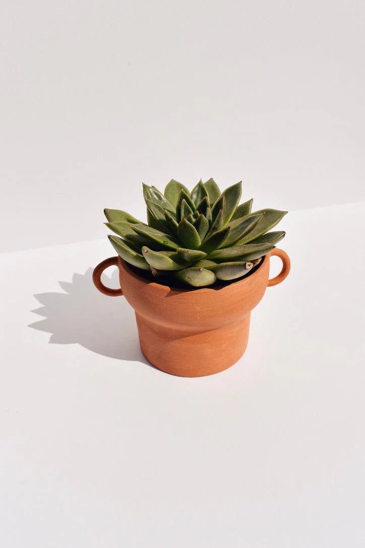 Handled Terracotta Planter