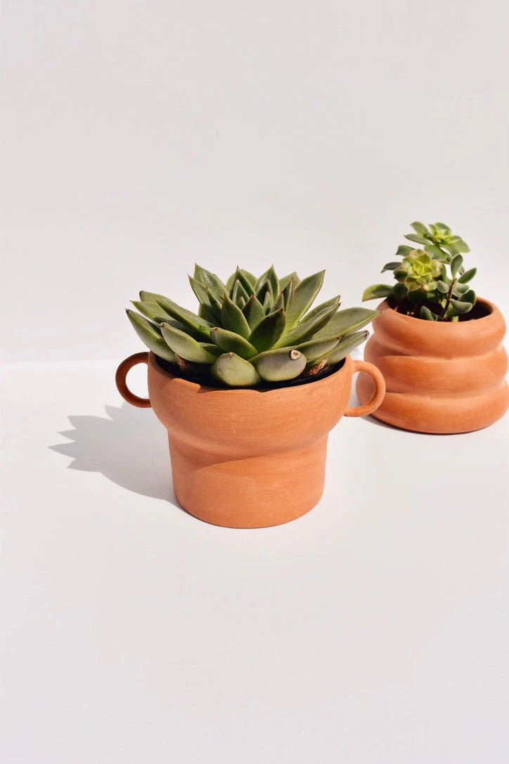 Handled Terracotta Planter