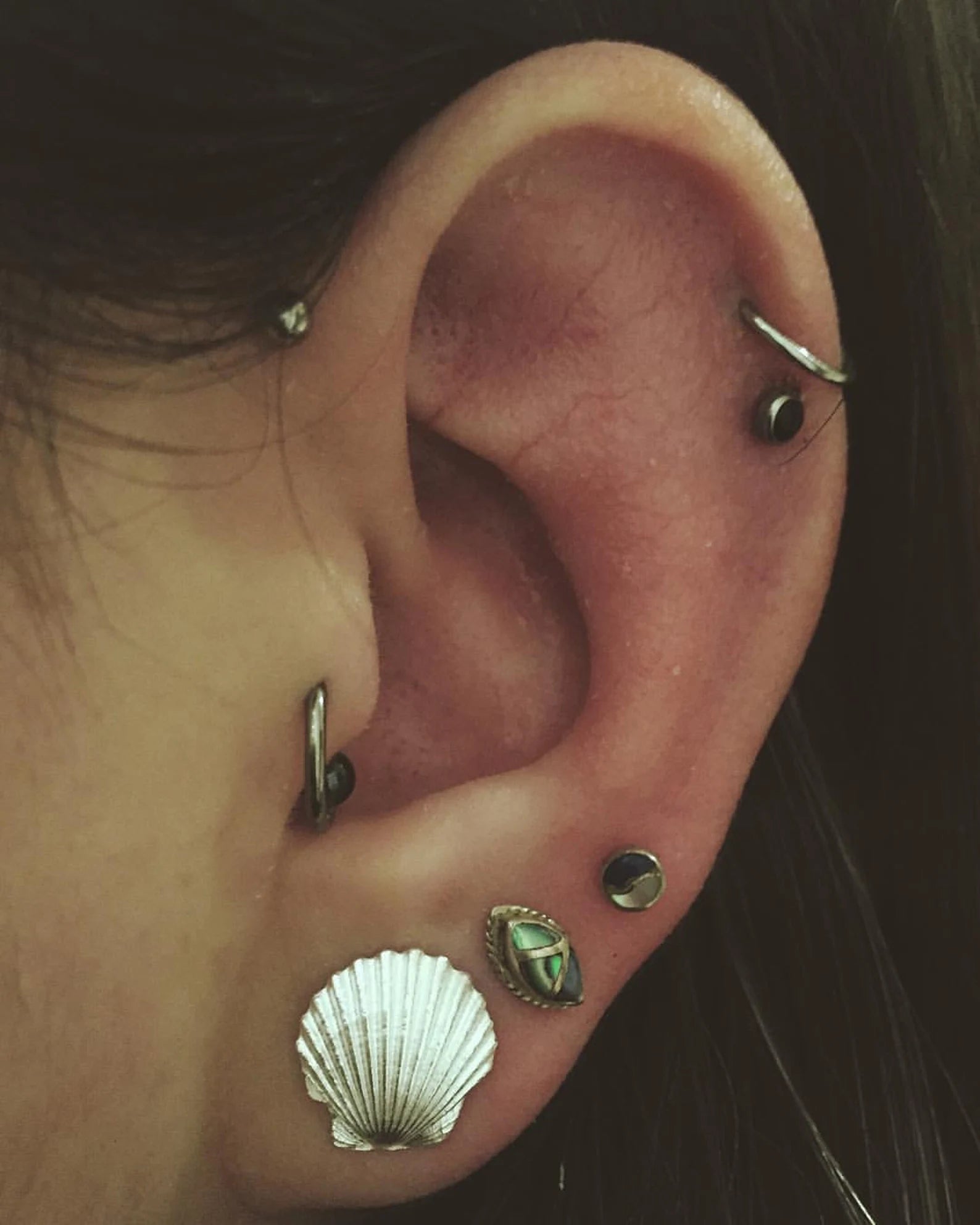 Sea Shell Stud Earrings - Gold