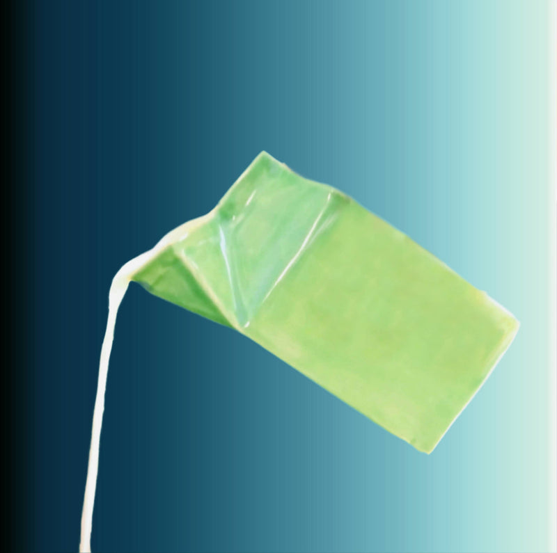 Ceramic Milk Carton - White
